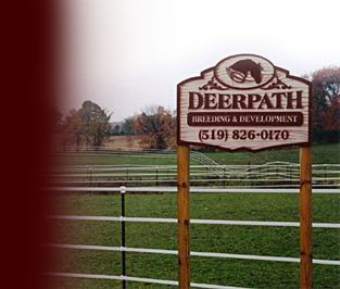 deerpath